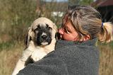 ADULTE ET CHIEN 494